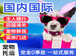 江北航空空运国际宠物托运 【国